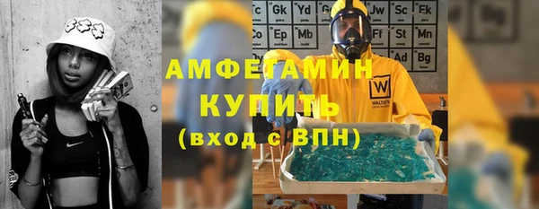 шишки Беломорск