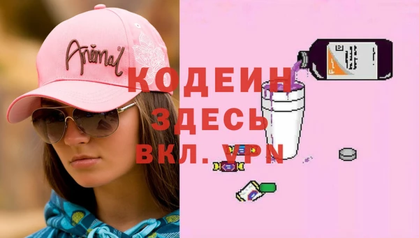 индика Баксан