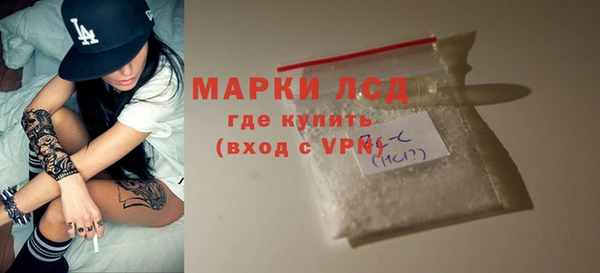 индика Баксан