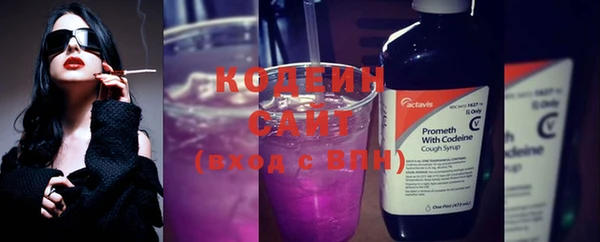 индика Баксан