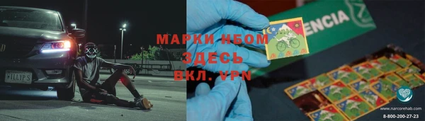 индика Баксан