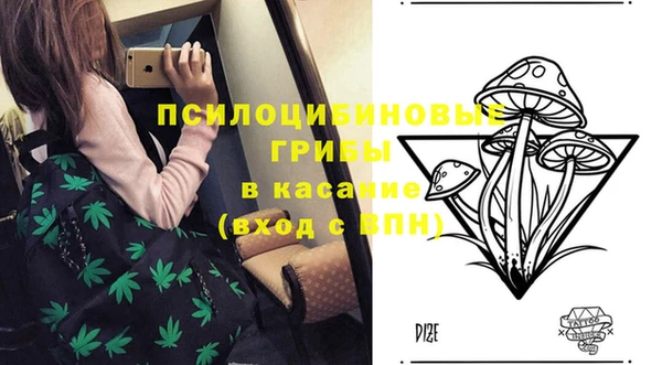 индика Баксан