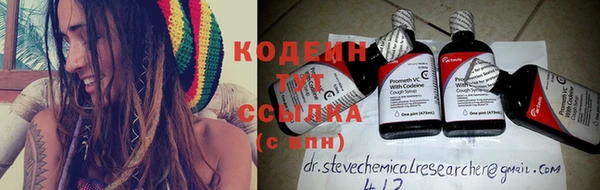 индика Баксан