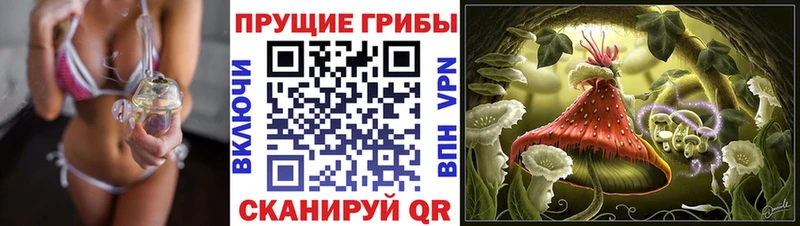 купить закладку  Нижняя Тура  Псилоцибиновые грибы MAGIC MUSHROOMS 